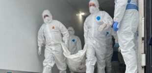 Масштабная репатриация: Украина забрала из России тела 528 погибших
