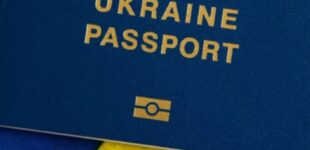 Биометрический паспорт: какая информация записана на электронном чипе