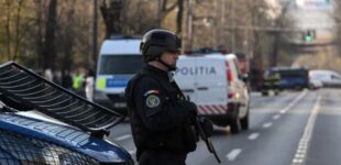 Сюрприз в огороде: румынские спецслужбы и армия спасали приграничное село от реактивного снаряда