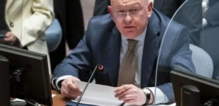 Небензя в ООН потребовал отдать ему украинские земли — «ради мира»