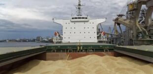 Мир брезгует мародерством: еще одна страна отказалась разгружать российское судно с краденым украинским зерном
