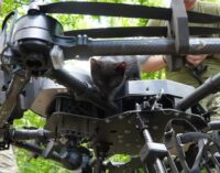 В Запорожской области военные эвакуировали кошку с пятью котятами с помощью дрона. ФОТО