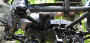 В Запорожской области военные эвакуировали кошку с пятью котятами с помощью дрона. ФОТО