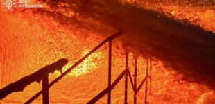 Под Киевом тушат крупный пожар, возникший в результате российской атаки