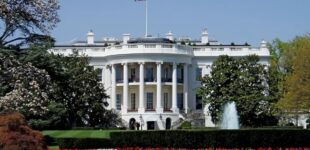 Бои без правил у Белого дома: Трамп шокировал Вашингтон размахом своего 80-летия. ВИДЕО