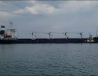 Открытый терроризм в море: в ВМС раскрыли подробности российских ударов по судам возле Одессы