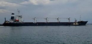Открытый терроризм в море: в ВМС раскрыли подробности российских ударов по судам возле Одессы