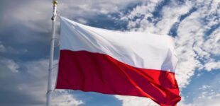 Поворот спиной: польские партнеры сорвали реабилитацию детей погибших украинских героев