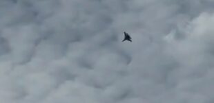 В российском Липецке местные жители сообщают о звуках взрывов в районе аэродрома. ВИДЕО