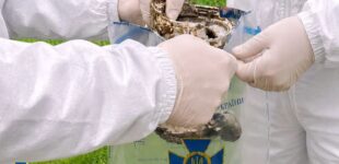 Россия атаковала Сумскую область дронами с обедненным ураном, — СБУ