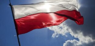 Впервые большинство поляков против приема беженцев из Украины: результаты опроса
