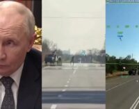 «Под контролем только статистика ежедневных вйо на трассе в Крым», — ​Мадяр показал, как Балицкий надул Путина. ВИДЕО