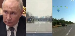 «Под контролем только статистика ежедневных вйо на трассе в Крым», — ​Мадяр показал, как Балицкий надул Путина. ВИДЕО