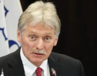 Воздушное перемирие: ответит на предложение США и Украины Кремль отправил Пескова