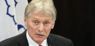 Воздушное перемирие: ответит на предложение США и Украины Кремль отправил Пескова