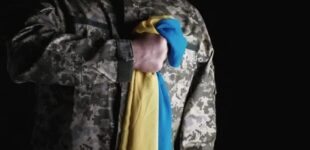 Из-за даты смерти защитника семьям отказывают в выплате, а Минобороны даже не подсчитывает, сколько человек это коснулось