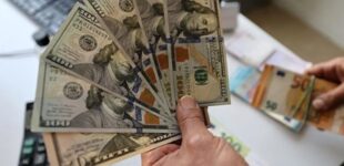 Банк или обменный пункт не принимает доллары: когда это незаконно и как защитить свои права