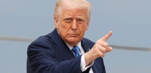Трамп законодательно запретил «родильный туризм» в США