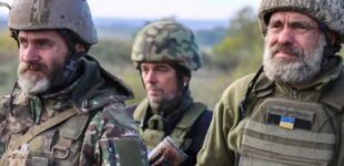 Половина пути пройдена: сколько подписей собрала петиция о снижении предельного возраста военной службы с 60 до 55 лет