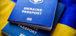 В Кабмине зарегистрировали петицию об упрощенном выходе из гражданства Украины