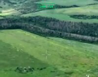 «Хартия» освободила 2 квадратных километра леса в Харьковской области: военные показали видео