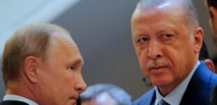 Ердоган може запропонувати Путіну план щодо України — джерело в уряді Туреччини